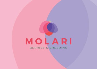 VIVAI MOLARI • Nuova immagine coordinata